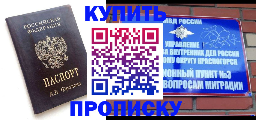 прописка поиск в Лузе